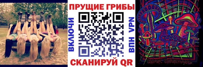 Псилоцибиновые грибы Psilocybe  кракен вход  Магнитогорск 